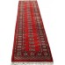Oriental rug Bukhara Exclusive