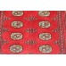 Oriental rug Bukhara Exclusive