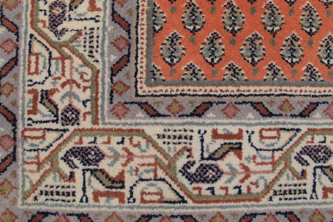 Oriental rug Mir Exclusive