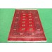 Oriental rug Bukhara Exclusive