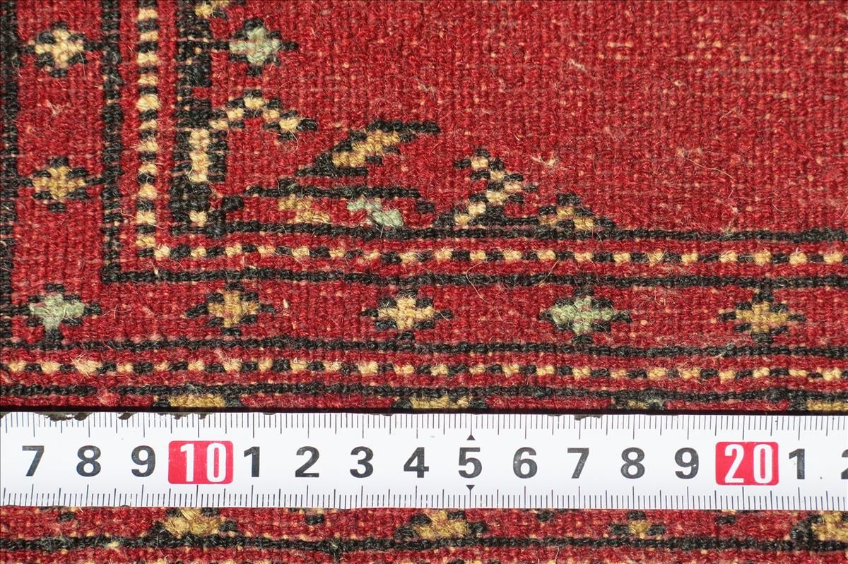 Oriental rug Bukhara Exclusive