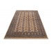 Oriental rug Bukhara Exclusive