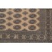Oriental rug Bukhara Exclusive
