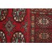 Oriental rug Bukhara Exclusive