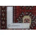 Bukhara Exclusive