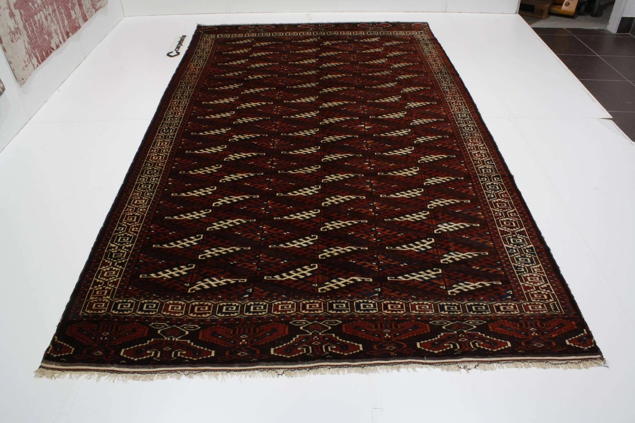Turkmen Jomud