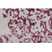 Ikat Royal