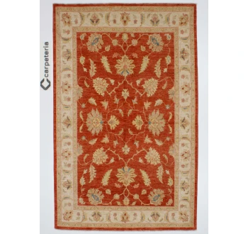 Farahan Exclusive