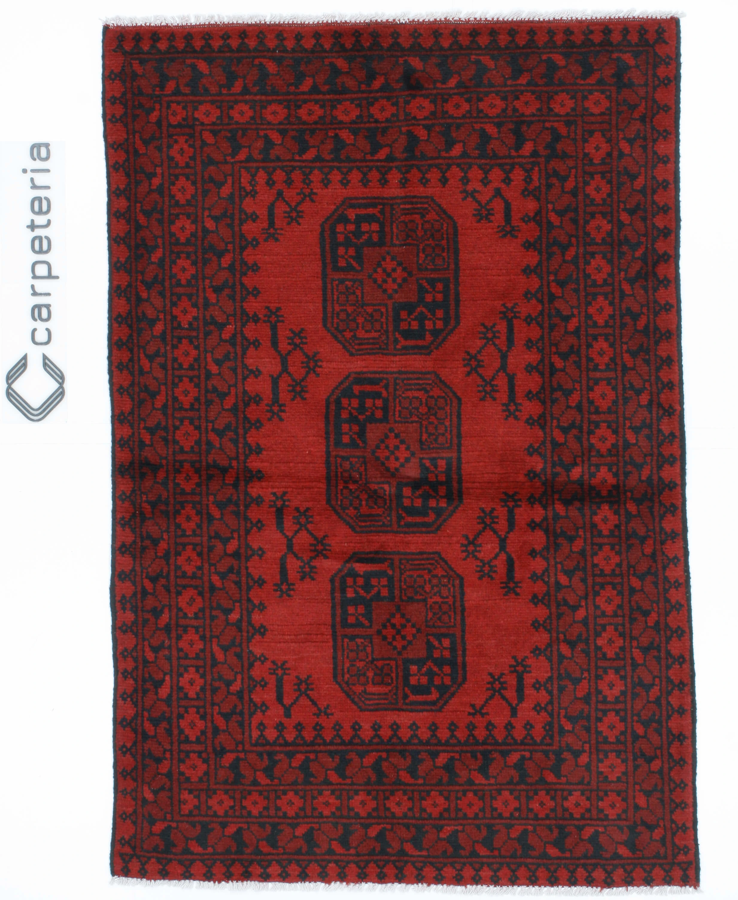 Afghan