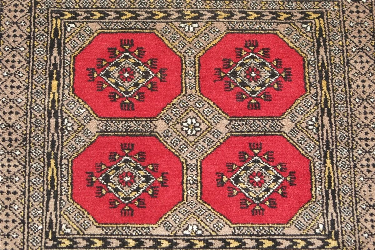 Oriental rug Bukhara Royal