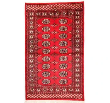 Oriental rug Bukhara Exclusive