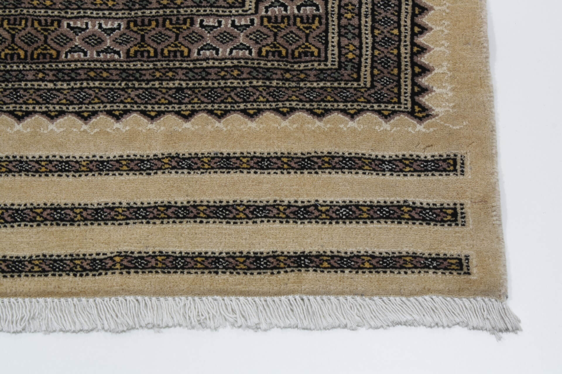 Oriental rug Jaldar Exclusive