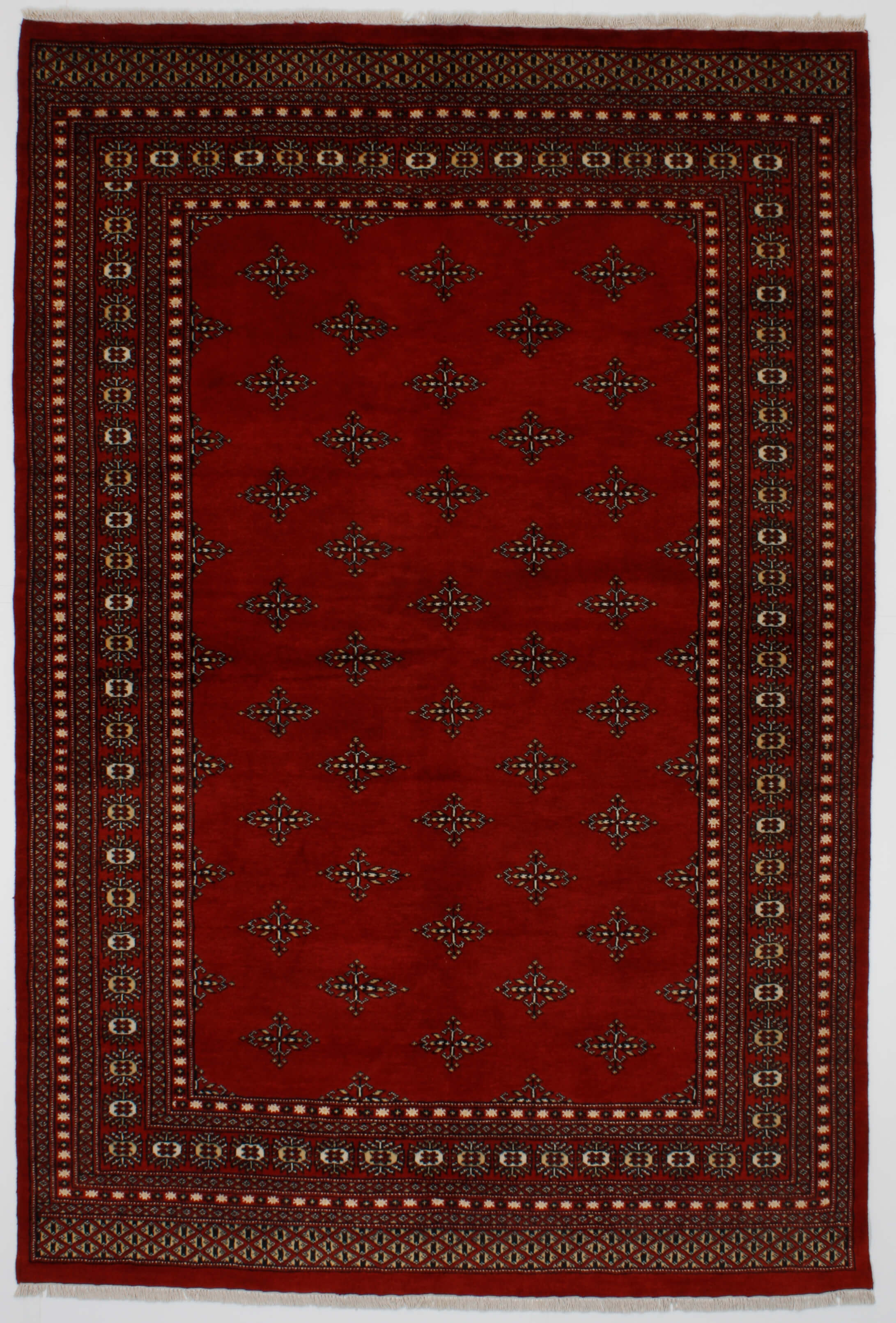 Oriental rug Bukhara Exclusive