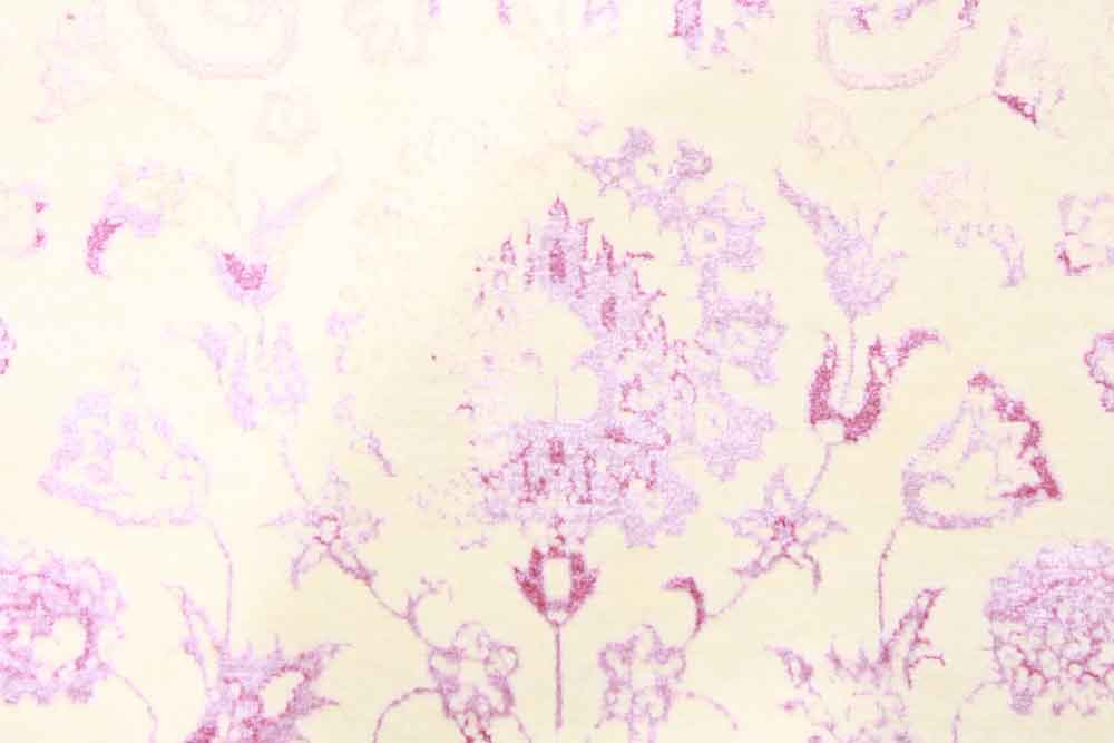 Oriental rug Sharukh Exclusive