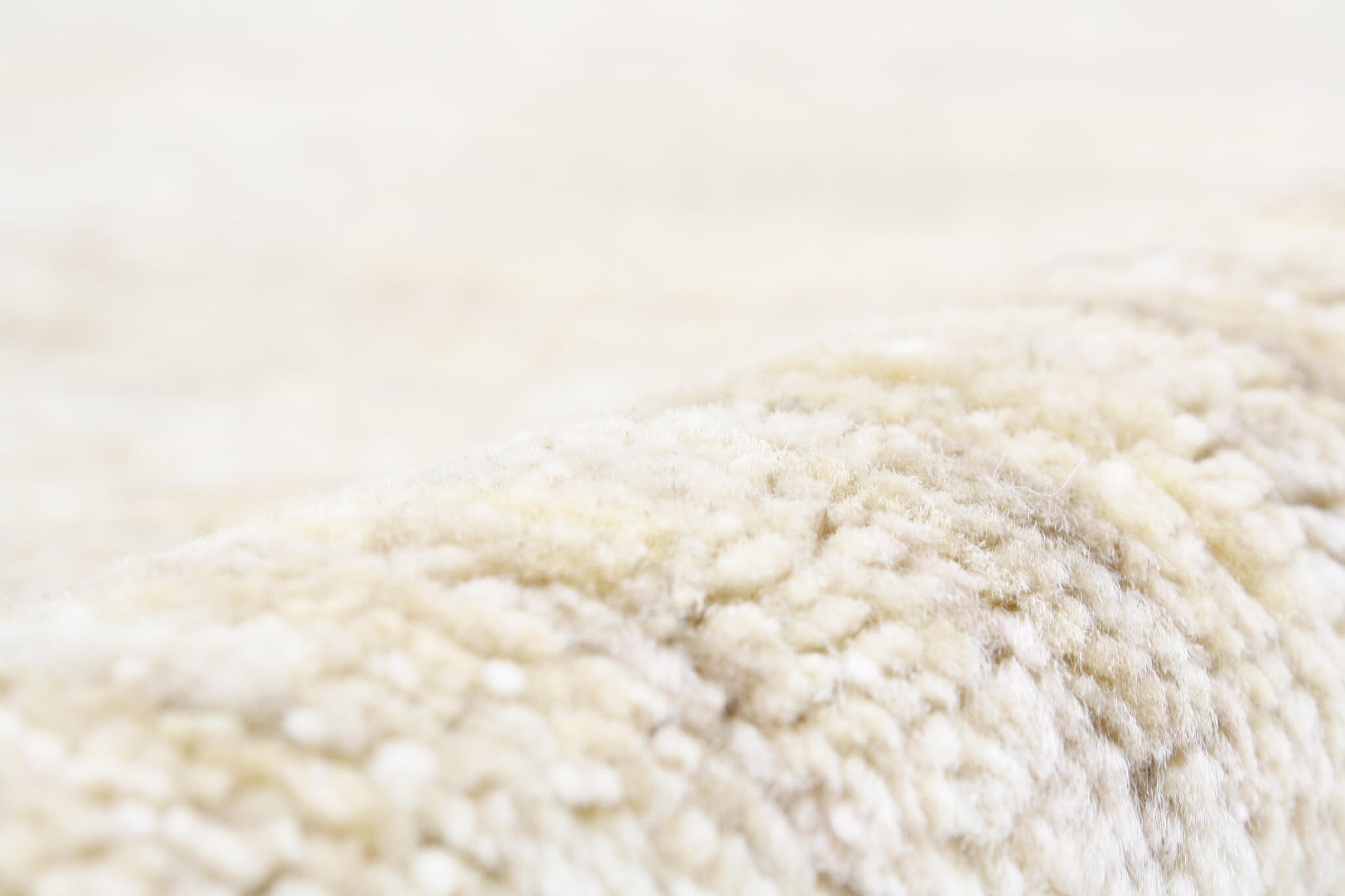Oriental rug Ziegler Modern Exclusive