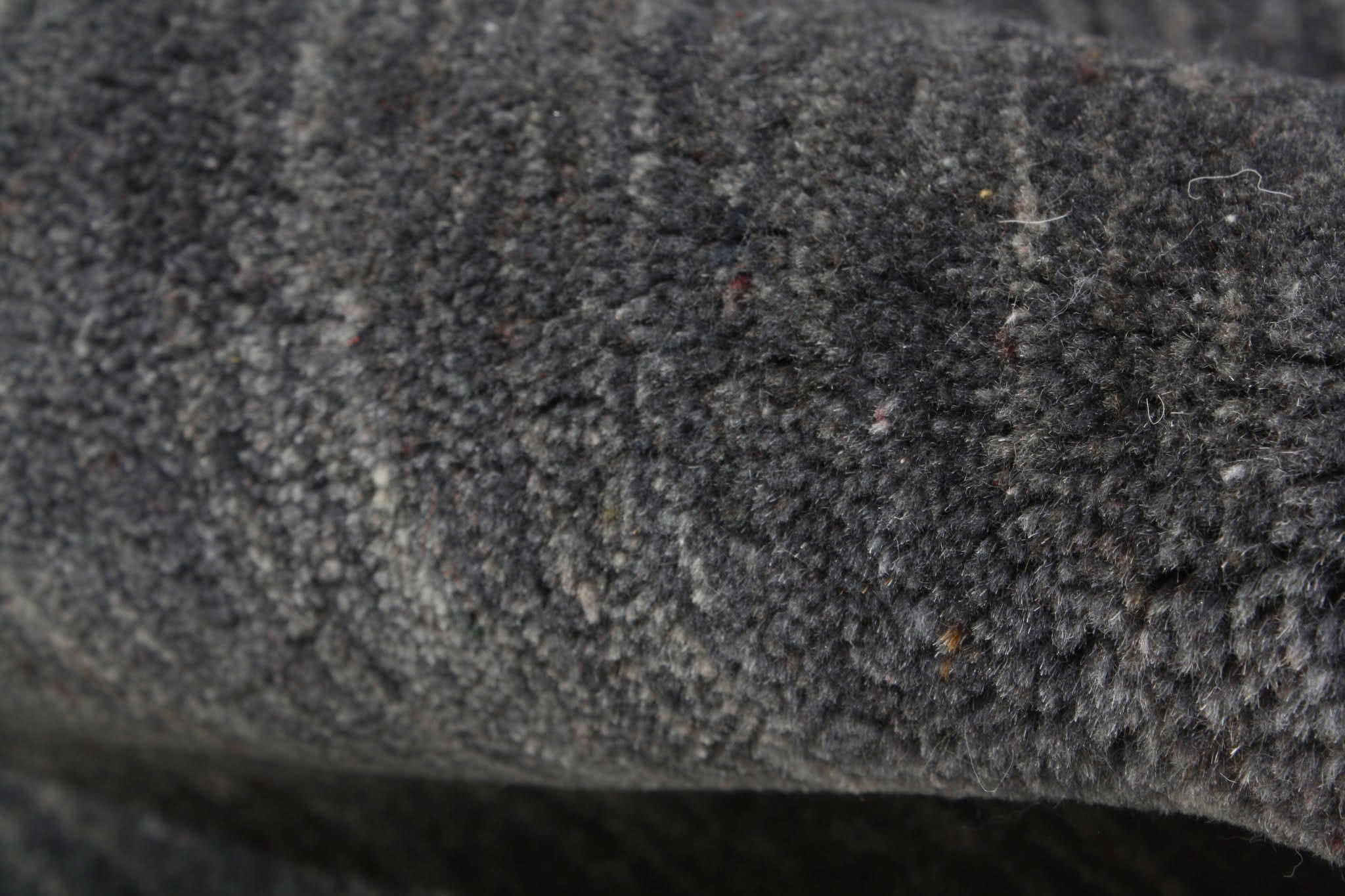 Oriental rug Gabbeh Plain Exclusive