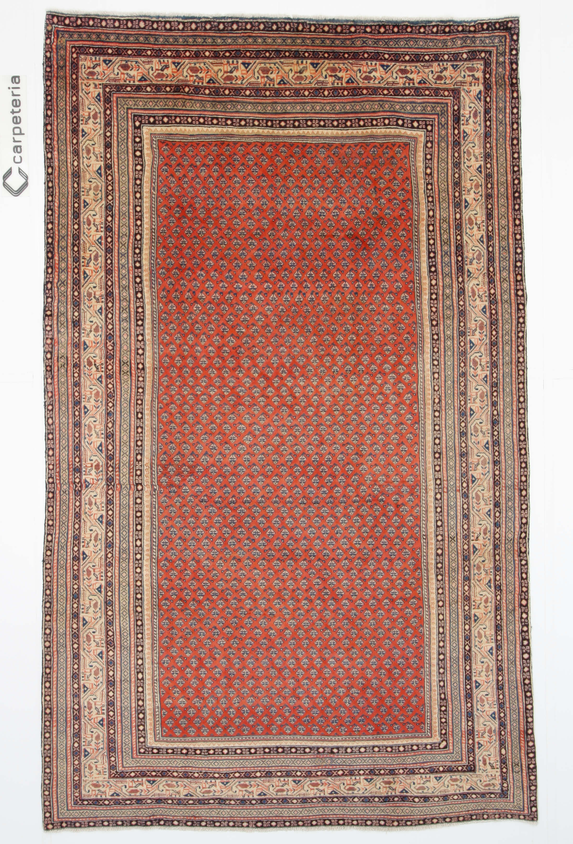 Persian rug Sarough Mir