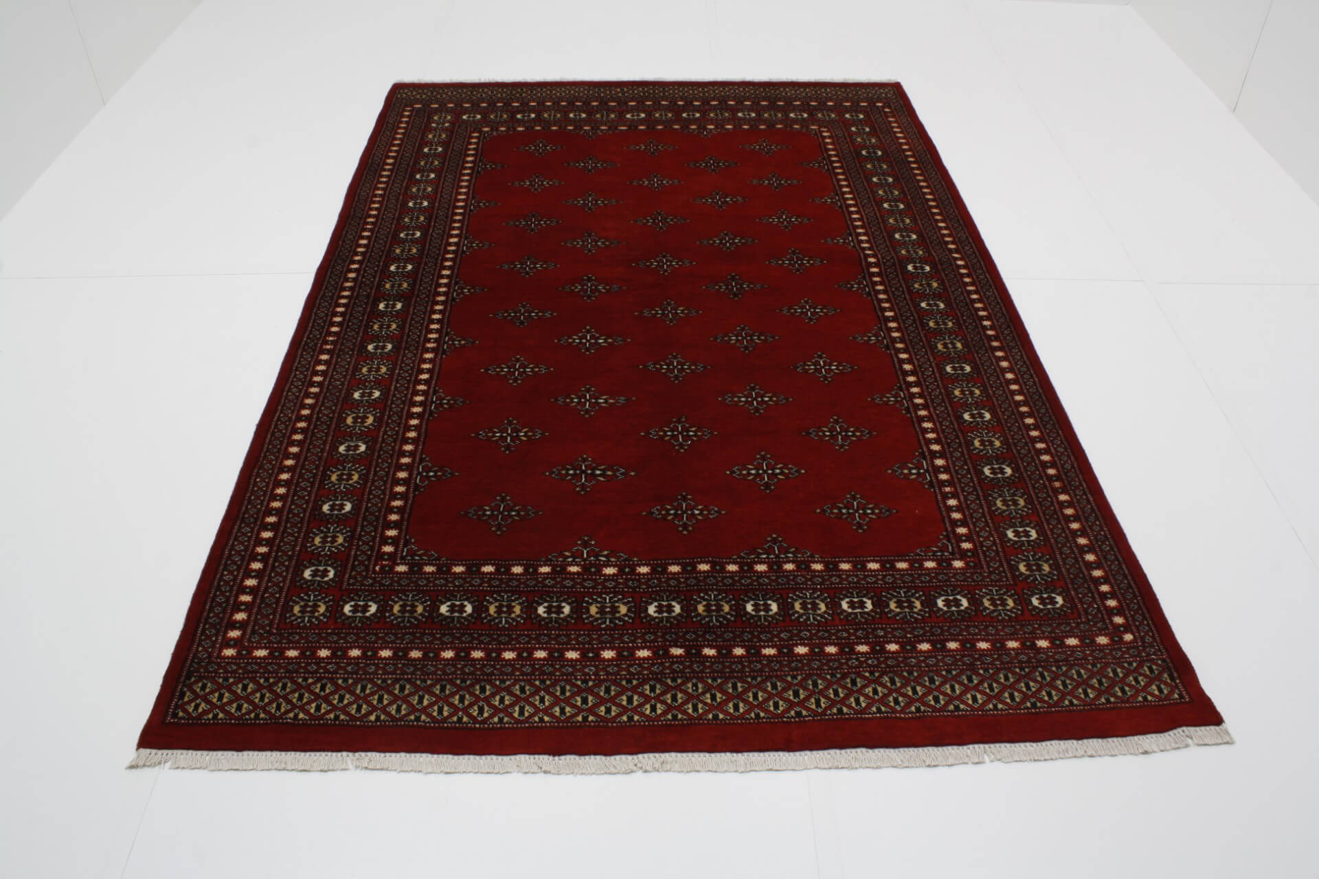 Oriental rug Bukhara Exclusive