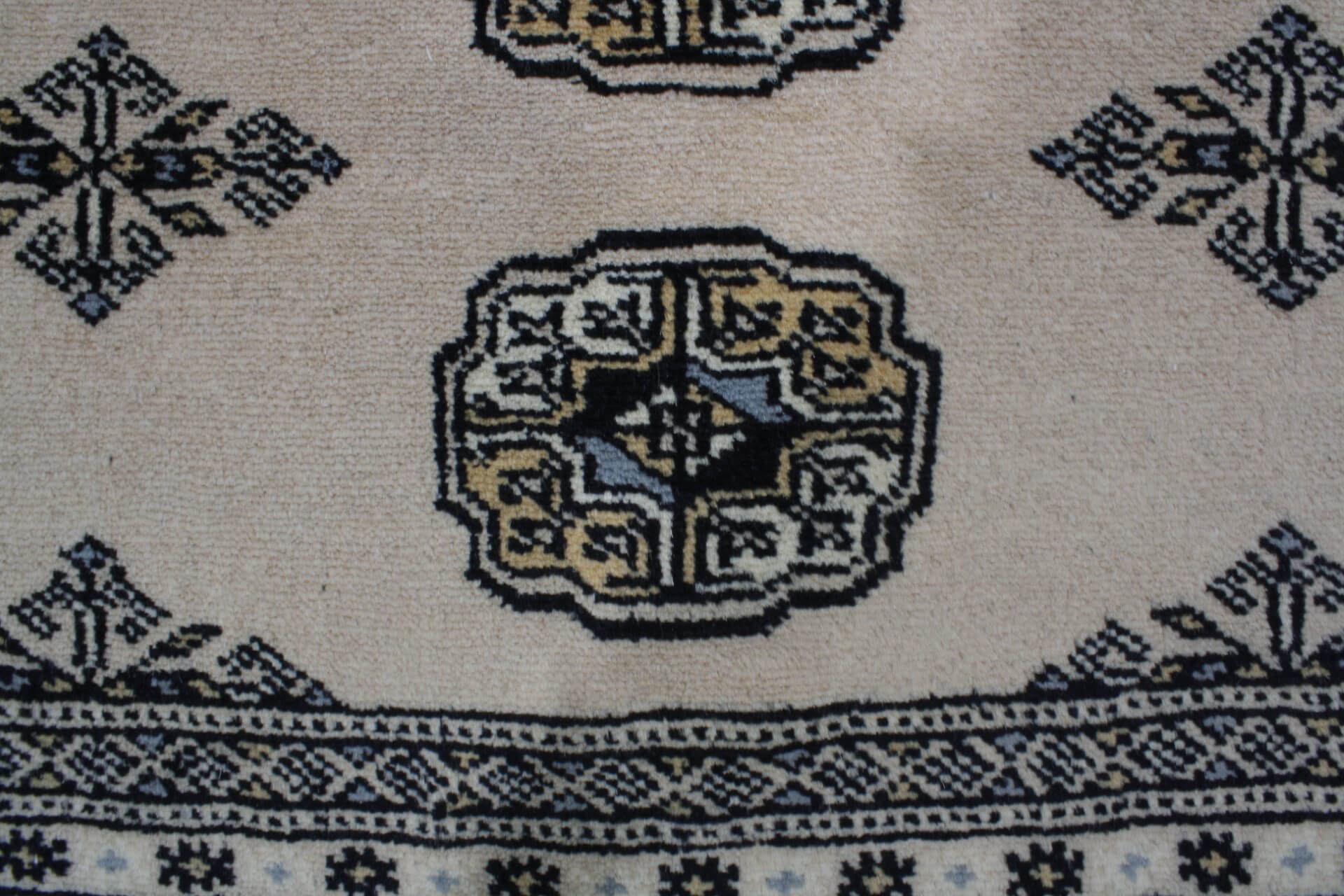 Oriental rug Bukhara Exclusive