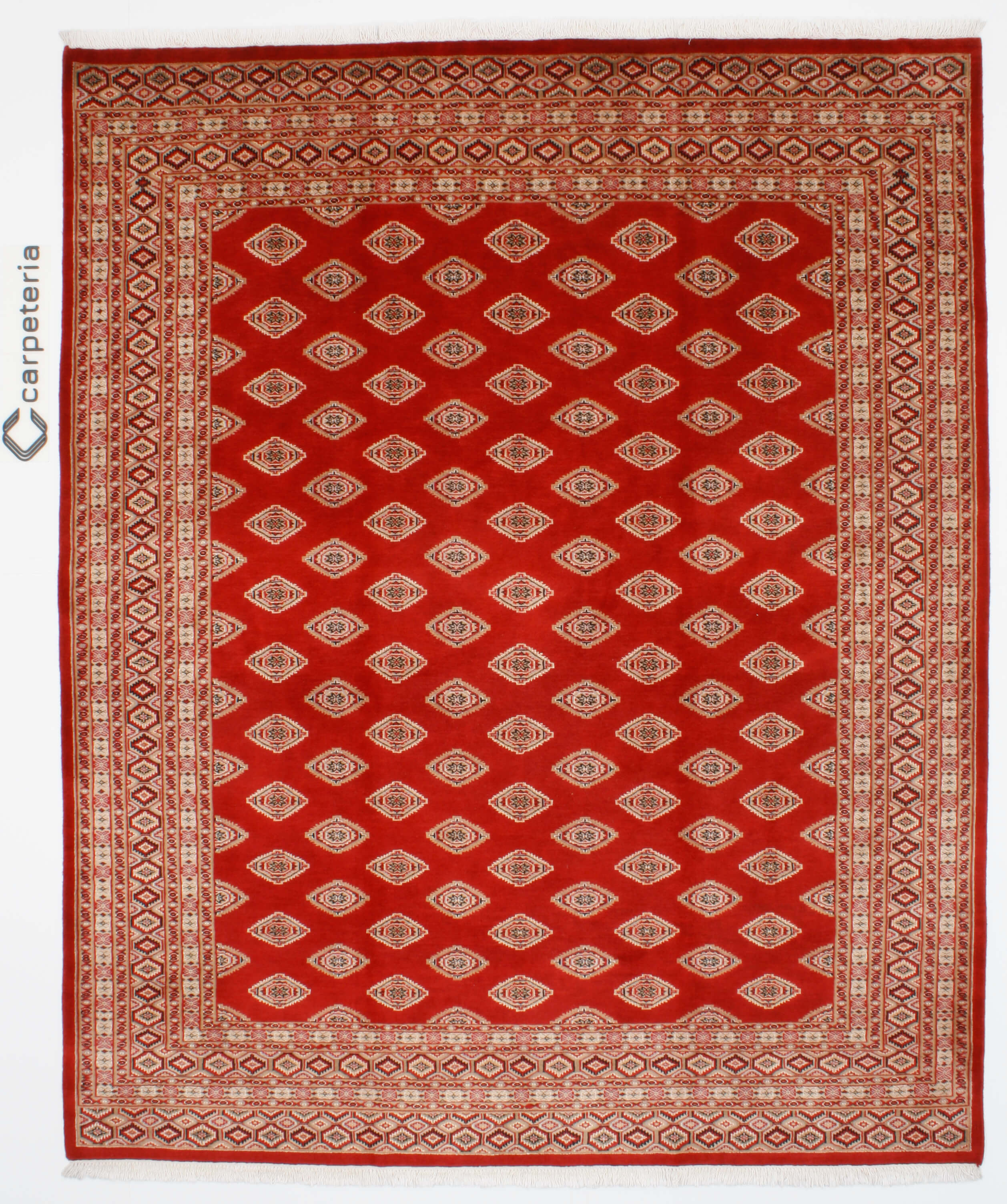 Oriental rug Jaldar Exclusive