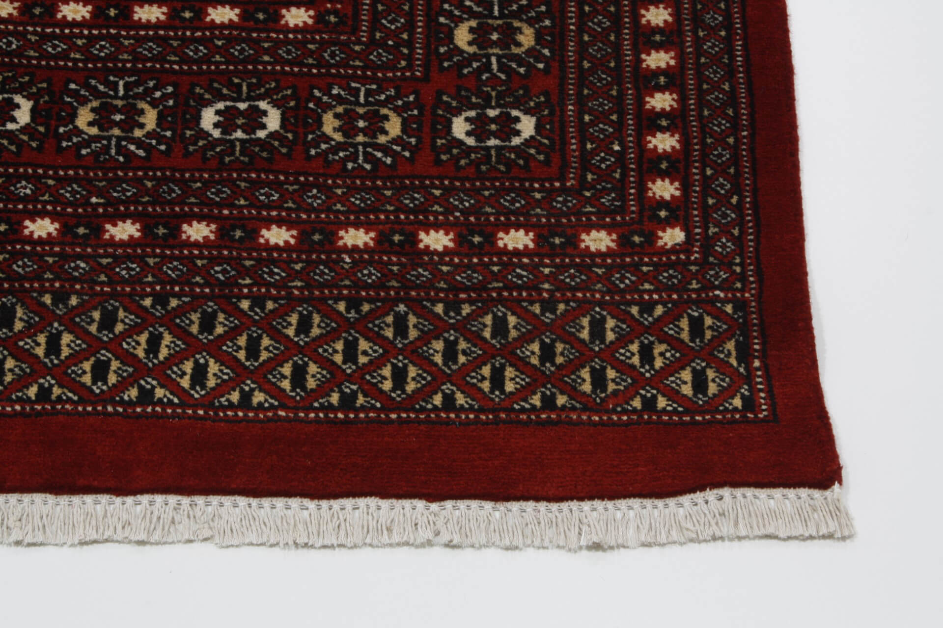 Oriental rug Bukhara Exclusive