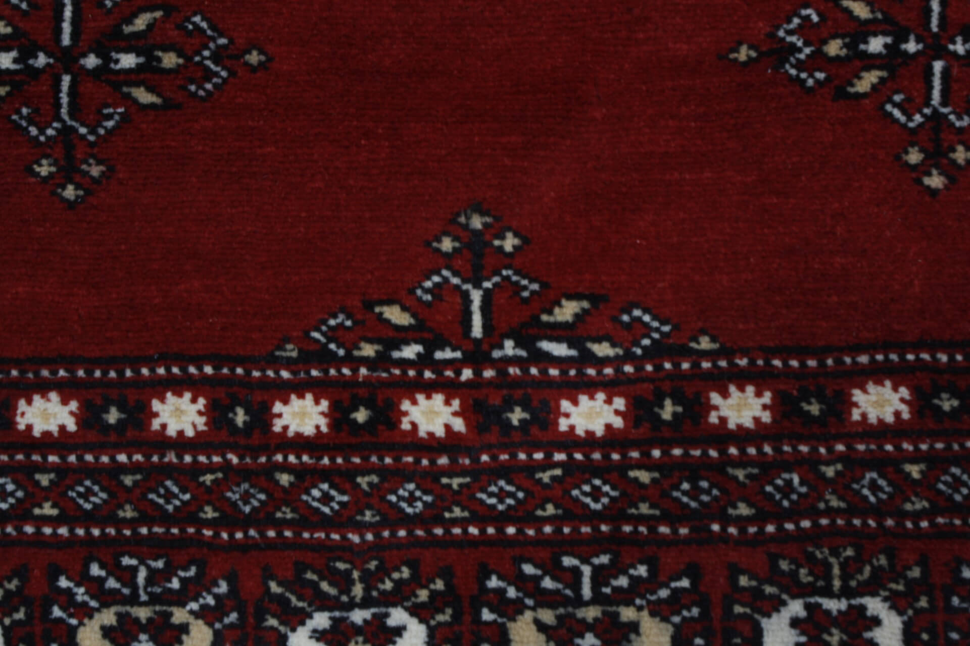Oriental rug Bukhara Exclusive